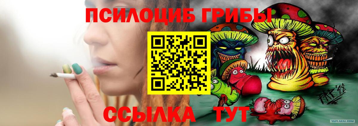 Псилоцибиновые грибы ЛСД Ирбит